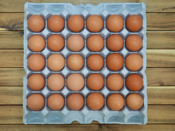 Eggs in a basket and a fresh egg