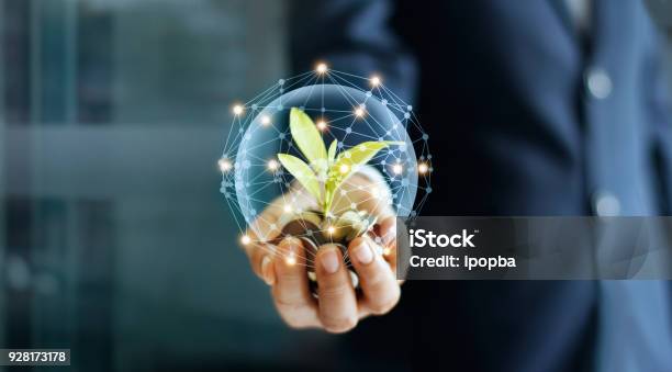 Businessman Hand With Coins And Sprout In Network Connection Plant Growing On Pile Of Coins Money Money Growth Concept Stock Photo - Download Image Now