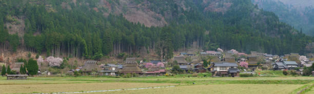 panorama wiejskiej wioski w kioto, japonia - thatched roof zdjęcia i obrazy z banku zdjęć