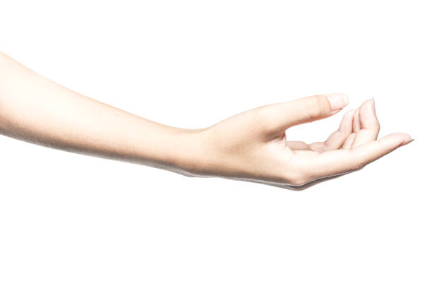istock Hand open and ready to help or receive. Gesture isolated on white background with clipping path. 928184870