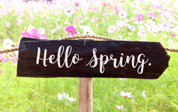 istock Wooden sign 