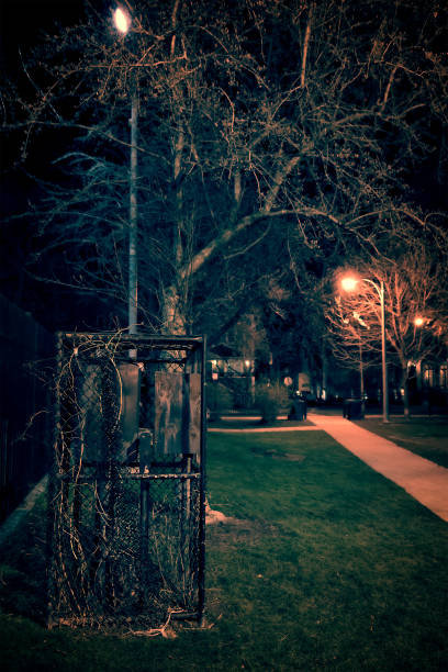 istock Dark and eerie park at night 928192910