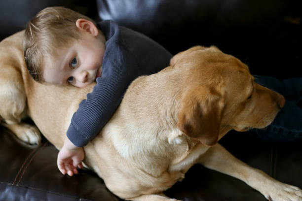 istock Child and Labrador Retriever Dog 928197586