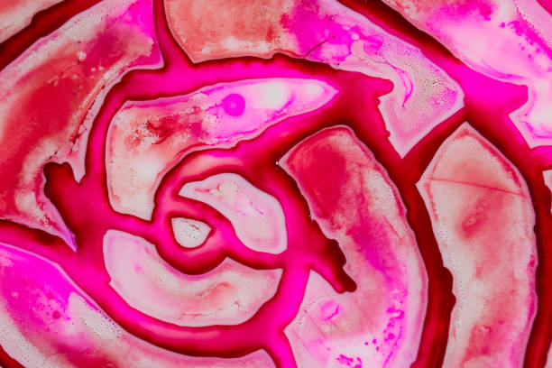 istock Watercolor with red and pink. Resembles a rose. 928212850