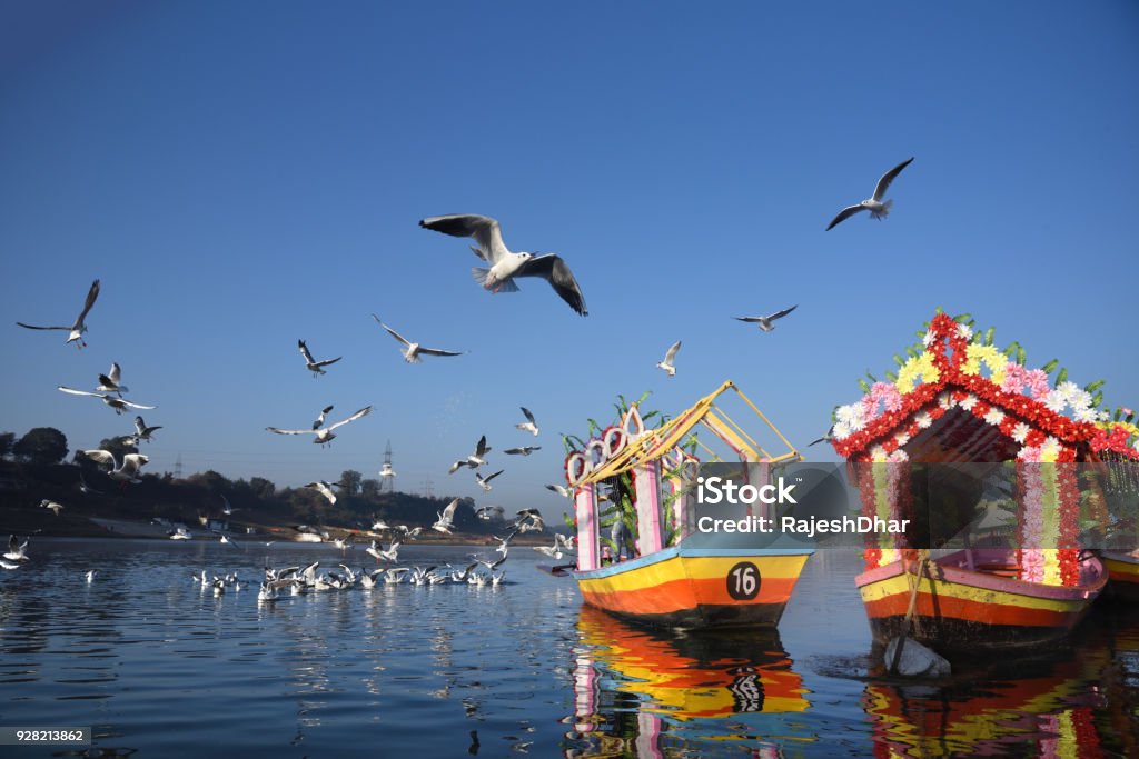 Boats and seagulls on River Narmada in India Narmada River Stock Photo
