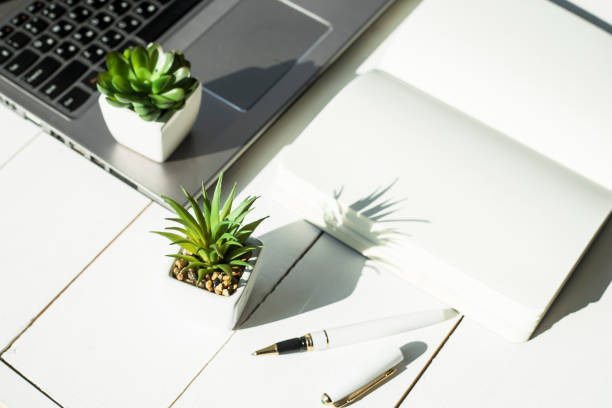 istock Two small pots with succulents at the computer on the desktop. Next to a white open notepad. A minimalistic stylish workplace 928218056