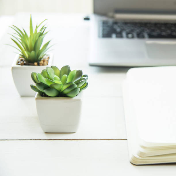 istock Two small pots with succulents at the computer on the desktop. Next to a white open notepad. A minimalistic stylish workplace 928218062