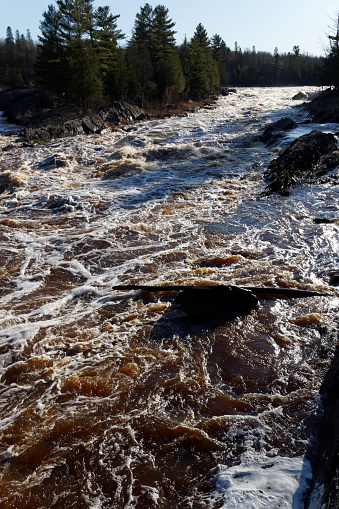 The St Louis River in Jay Cooke Park as viewed from the riverbank