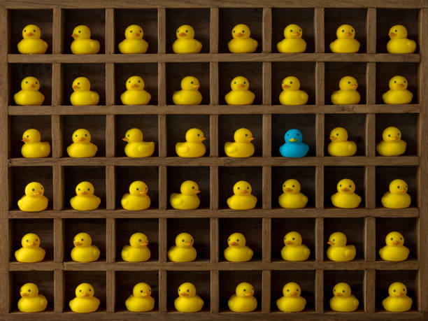 many yellow rubber ducks in pigeon hole compartments with one different blue duck. - compartimento de armazenamento imagens e fotografias de stock