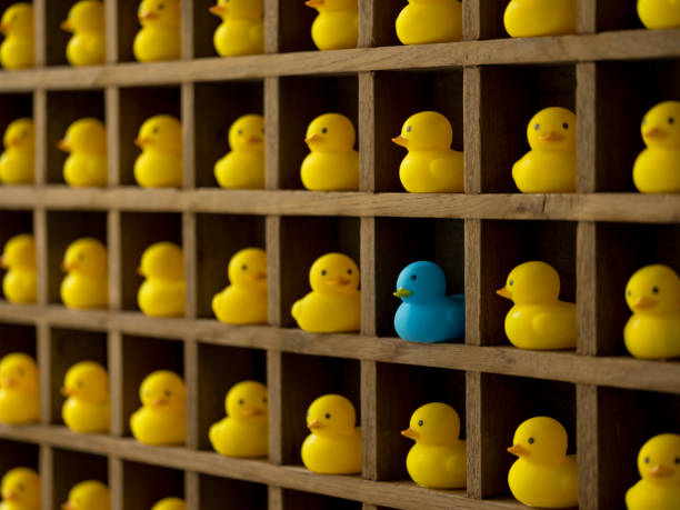istock Many yellow rubber ducks in pigeon hole compartments with one different blue duck. 928223676