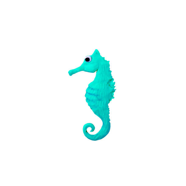 Sea Horse