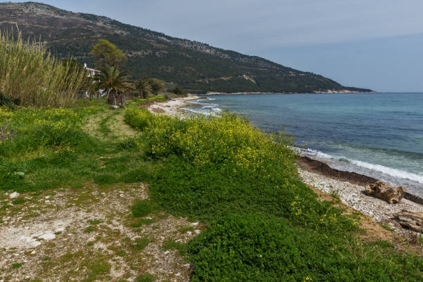 istock Panorama of beach at Thassos island, Greece 928230454