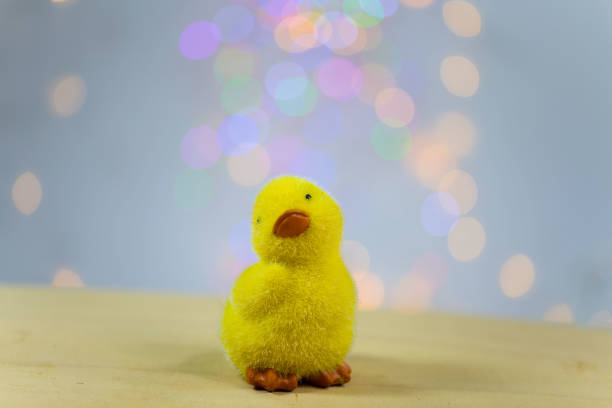 funny chick on wooden background, bouquet