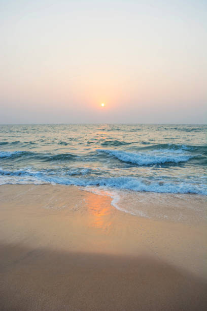 istock Beach and tropical sea- India 928239534