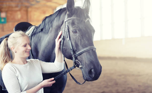 istock People on a horse training in a wooden arena 928242556