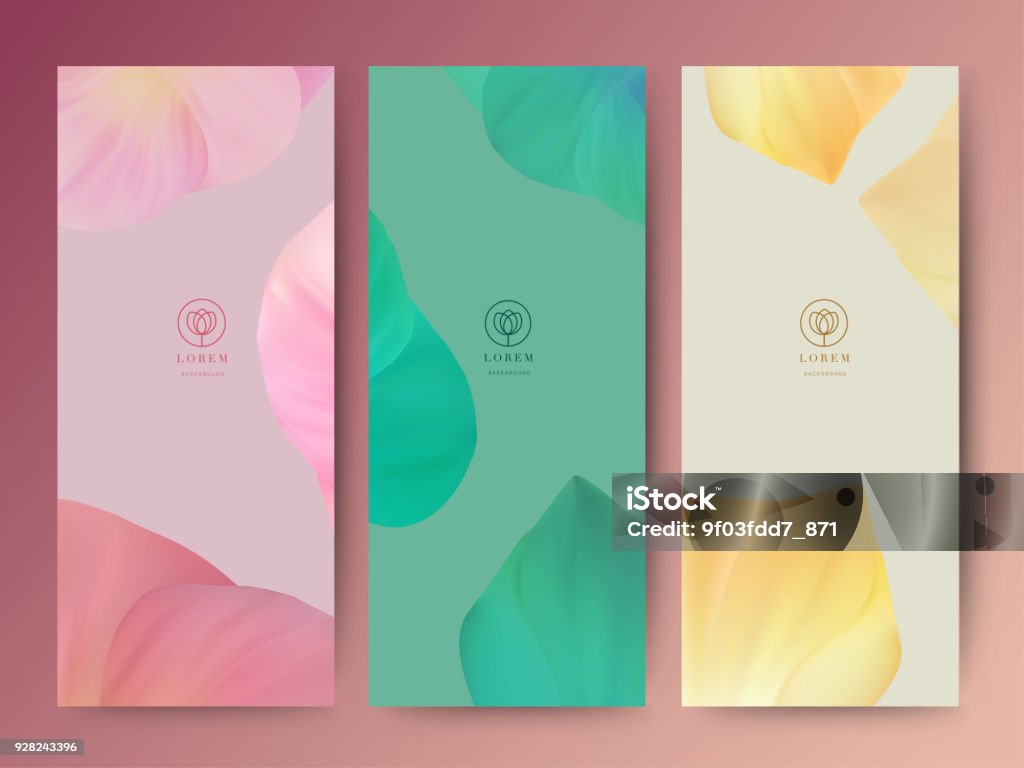 Branding Packageing leaf nature background, banner voucher, spring summer tropical, vector illustration Flower stock vector