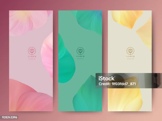 Branding Packageing Leaf Nature Background Banner Voucher Spring Summer Tropical Vector Illustration Stock Illustration - Download Image Now