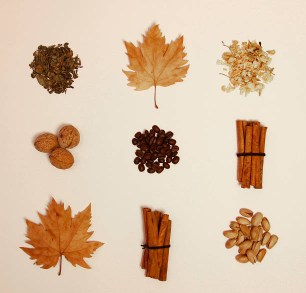 istock coffee beans, dry nuts and dry leaves 928250964