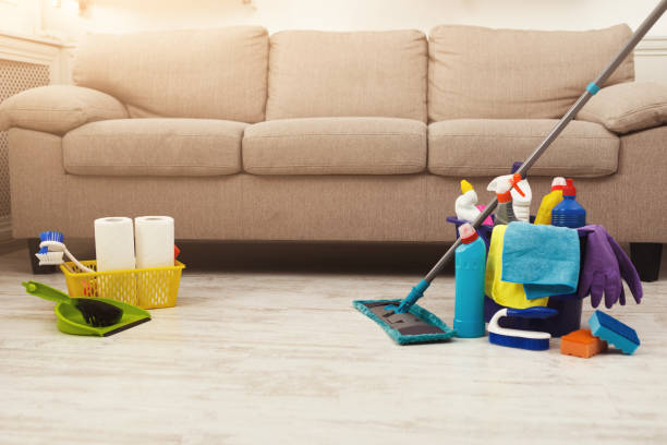 istock Bucket with sponges, chemicals bottles and mopping stick. 928263036