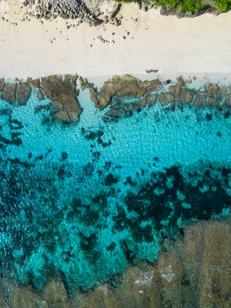 istock Bali - beach from above. Straight drone shot 928267570
