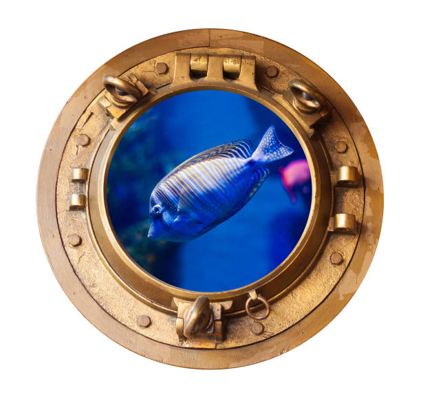 brass porthole cutout and red sea sailfish tang - naval ship imagens e fotografias de stock