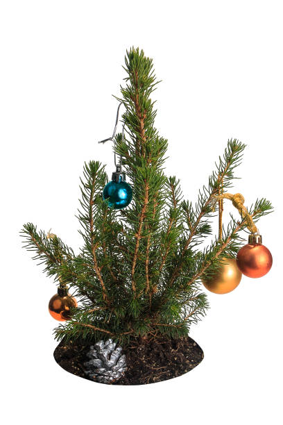 istock Little Christmas tree with toys. 928281014