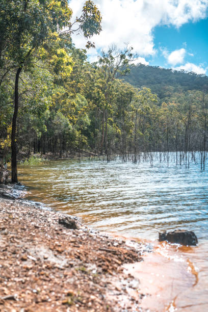 istock Advancetown lake in Australia 928287882