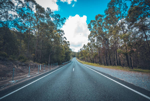 Shot of road in the middle of forest in Gold Coast, Australia.