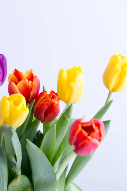 istock Bouquet of bright spring flowers 928291984