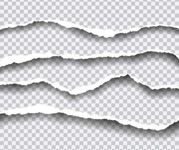 horizontal zerrissene kanten des papiers mit schatten, isolierte vektor auf einem transparenten hintergrund - index card paper cut or torn paper card file stock-grafiken, -clipart, -cartoons und -symbole