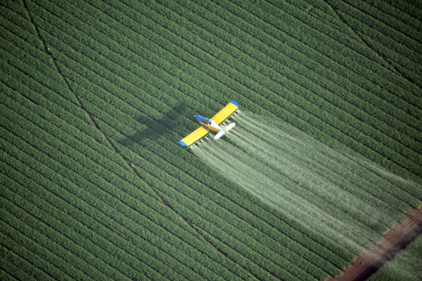 regardant vers le bas sur un crop duster - crop sprayer insecticide spraying agriculture photos et images de collection