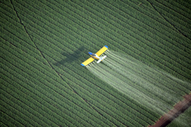 Looking down on a crop duster Looking down on a crop duster , Spraying plane crop sprayer stock pictures, royalty-free photos & images