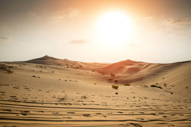 istock Beautiful sunset in the Sahara desert. Sand dunes at sunset. 928315124