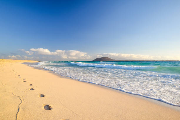 superbe vue sur les îles de lobos et lanzarote, vu de la plage de corralejo (grandes playas de corralejo) matin sur fuerteventura, îles canaries, espagne, europe. belles empreintes dans le sable. - lanzarote photos et images de collection