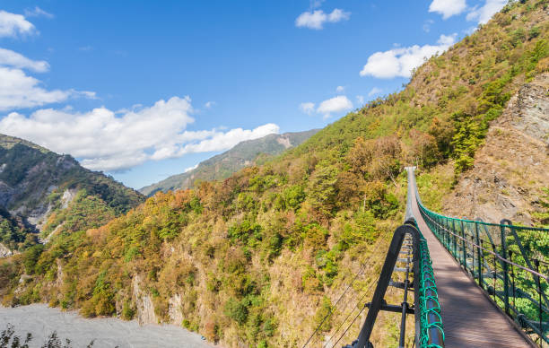 istock Suspension bridge in Aowanda National Forest Recreation Area, Taiwan 928336740