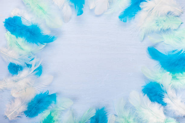 istock Feathers on color wooden background. 928342754