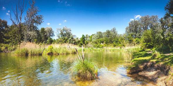 Dechantlacke is one of many ponds of the Danube Auen National Park Vienna.
It covers 93 square kilometres in Vienna and Lower Austria and is one of the largest remaining floodplains of the Danube in Middle Europe.