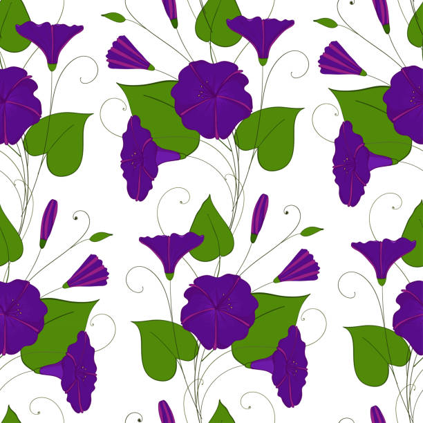 floralen eleganten hintergrund blau convolvulus. musterdesign zarte blume ackerwinde. trichterwinde endlose weibliche ornament. - blossom florescence flower wallpaper pattern stock-grafiken, -clipart, -cartoons und -symbole