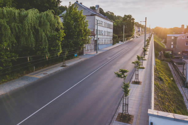 istock Road By Trees In City 928352426