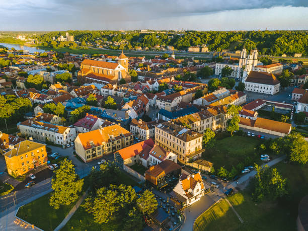 istock High Angle View Of Houses Amidst Trees Against Sky 928358462