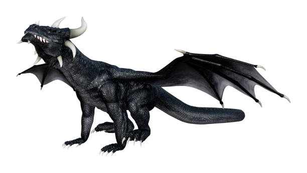 istock 3D rendering black fantasy dragon on white 928364402