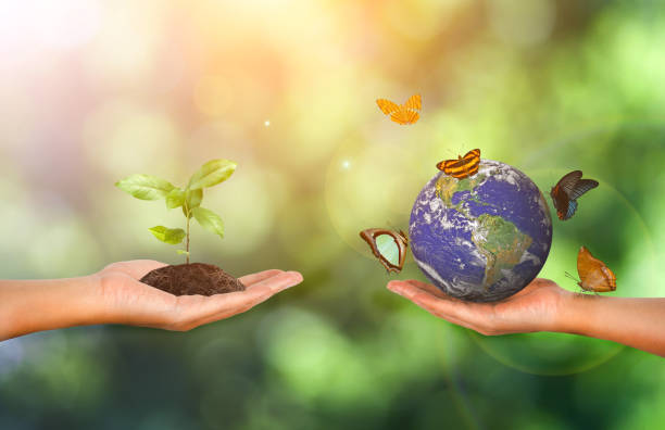 istock Cropped Hands Holding Plant And Earth 928369154