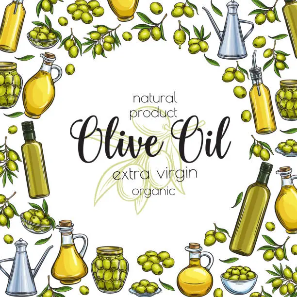 Vector illustration of olive oil sketch