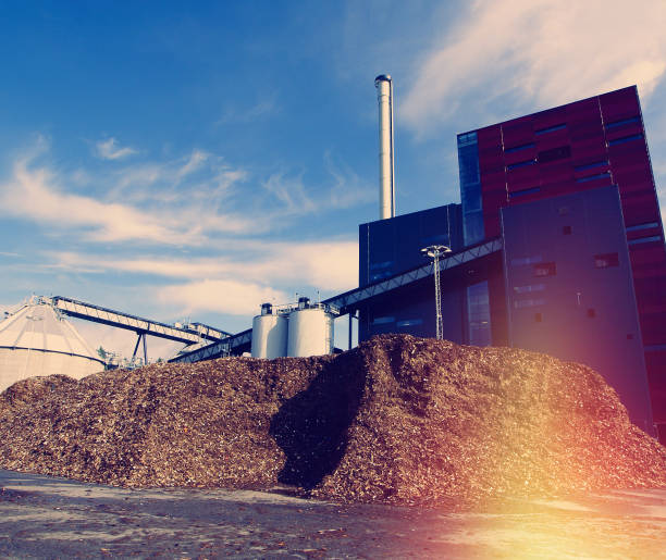 bio power plant with storage of wooden fuel against blue sky stock photo