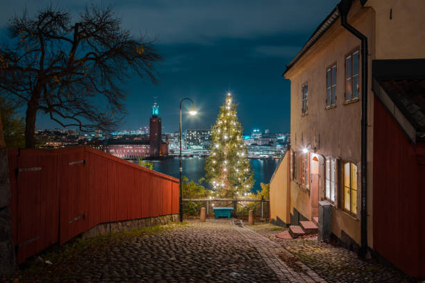 historic city center of stockholm with town hall and christmas tree in twilight, sweden - stockholm sweden sea winter imagens e fotografias de stock