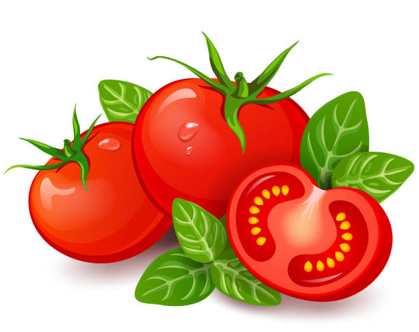 frische tomaten mit basilikum auf weißem hintergrund - healthy eating green drink non alcoholic beverage stock-grafiken, -clipart, -cartoons und -symbole