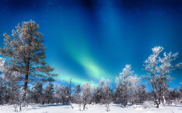 Aurora Borealis over winter wonderland scenery in Scandinavia Panoramic view of amazing Aurora Borealis northern lights over beautiful winter wonderland scenery with trees and snow on a scenic cold night in Scandinavia, northern Europe norrbotten province stock pictures, royalty-free photos & images