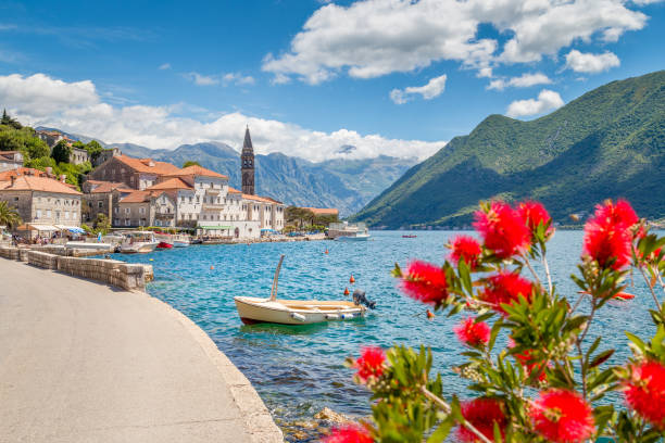 Historic town of Perast at Bay of Kotor in summer, Montenegro Scenic panorama view of the historic town of Perast at famous Bay of Kotor with blooming flowers on a beautiful sunny day with blue sky and clouds in summer, Montenegro, southern Europe adriatic sea photos stock pictures, royalty-free photos & images