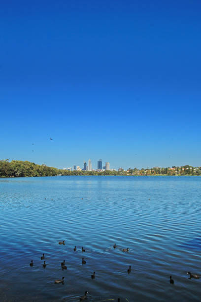 istock The city of Perth, Australia 928388722