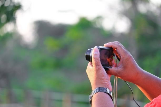 istock hand holding camera photograph in nature background 928395476